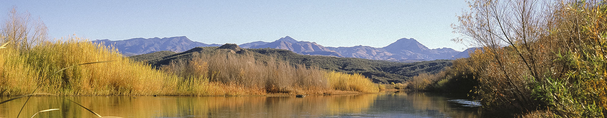 Protecting the Verde River, investing in a local solution