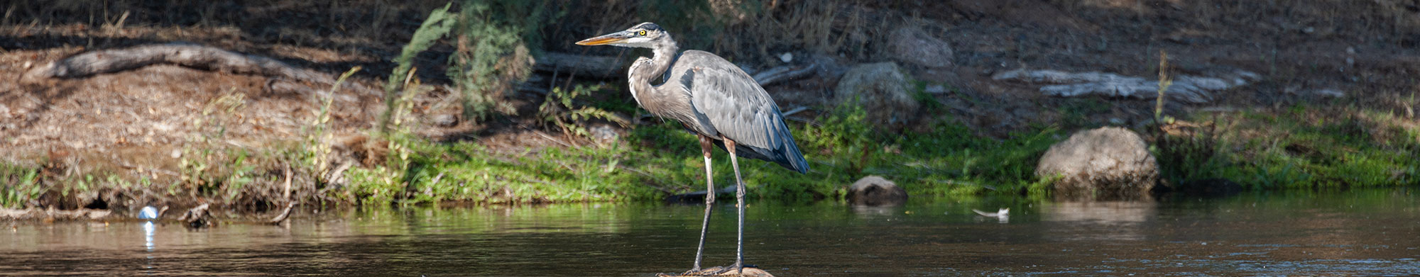 Habitat Conservation Plans