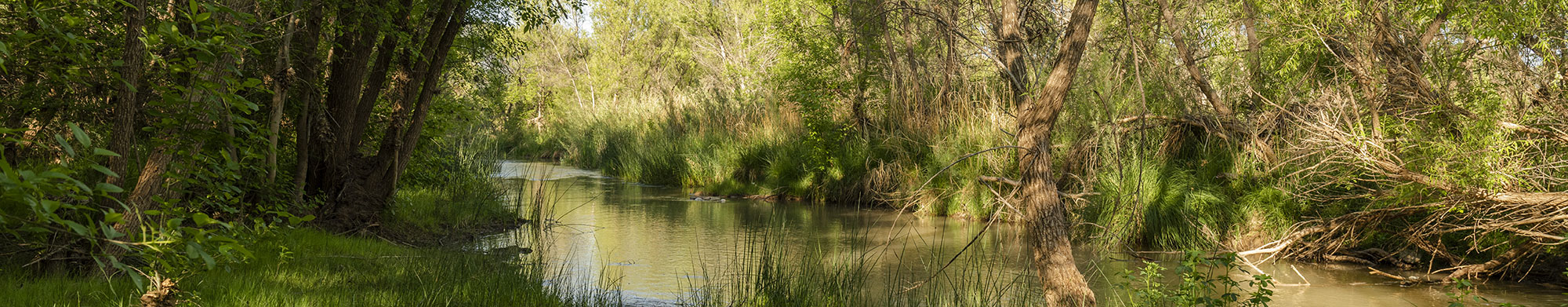 Verde Valley Historic Water Use agreements